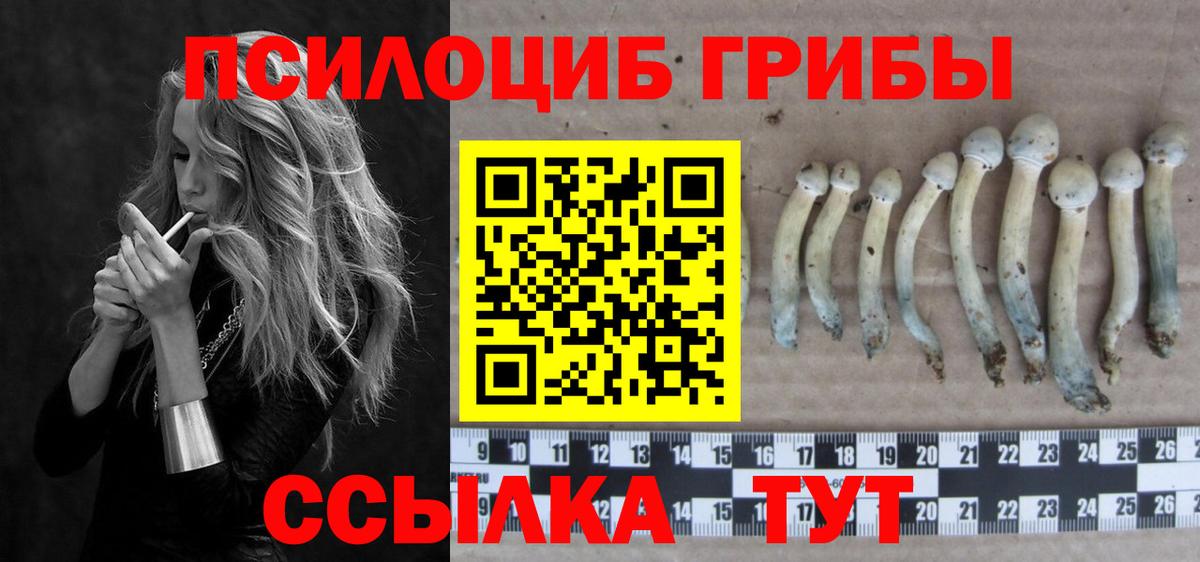 Галлюциногенные грибы ЛСД  Вход с VPN  Кунгур  Галлюциногенные грибы GOLDEN TEACHER 